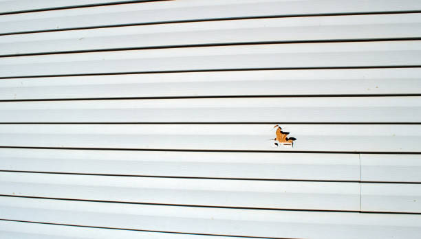 Best Siding Removal and Disposal  in Forsyth, GA
